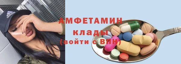 дурь Бородино