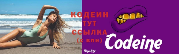 дурь Бородино