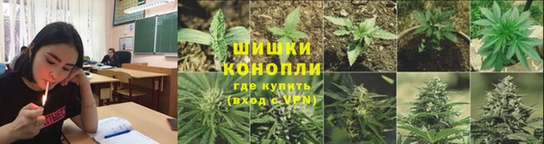 дурь Бородино